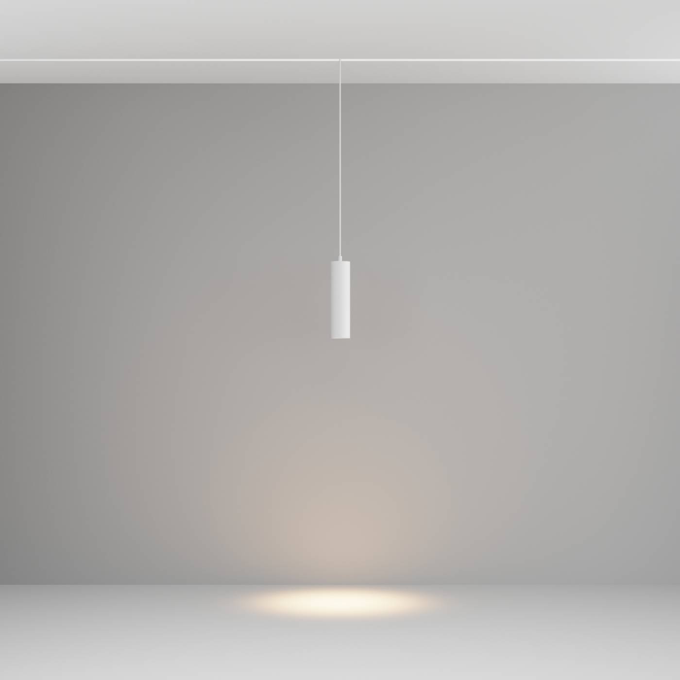 Трековый светильник Maytoni Focus LED Exility TR041-2-12W3K-W