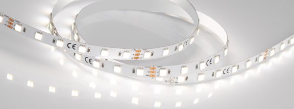 LED лента Arlight RT открытая 025214