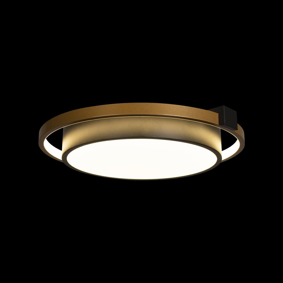 10169 Потолочная люстра Loft It Mike 10169