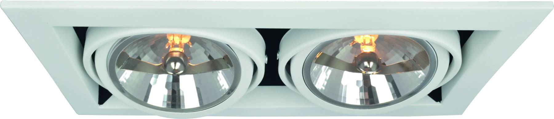 A5935PL-2WH Карданный светильник Arte Lamp Cardani A5935PL-2WH