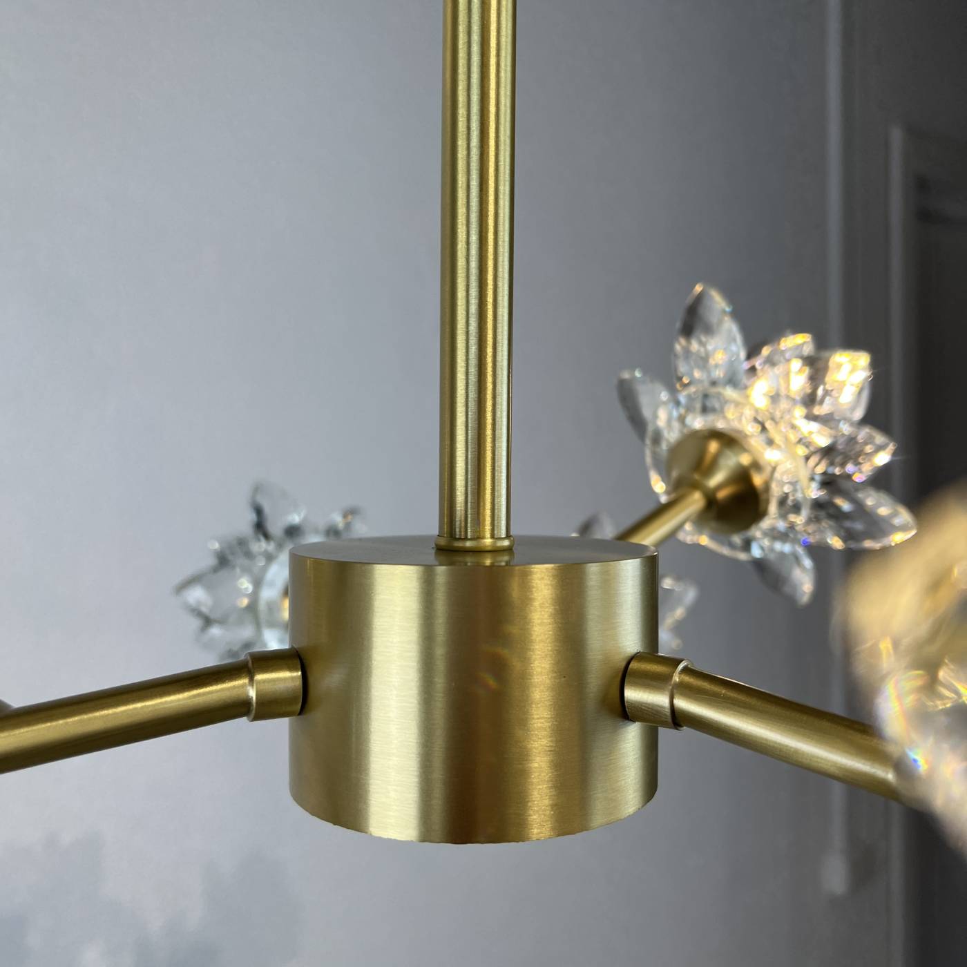 203938-26 Потолочная люстра ImperiumLoft Lotos-Two01 203938-26