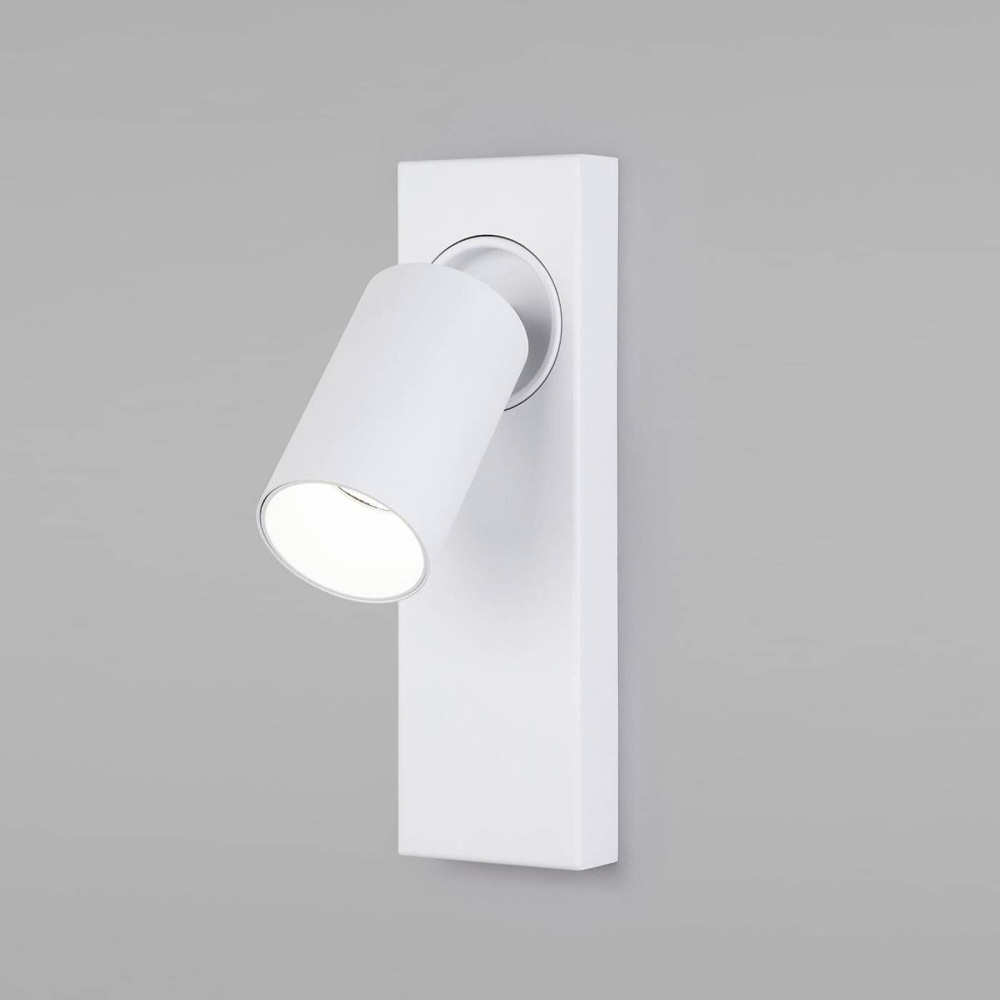 Светильник спот Eurosvet Flank 20139/1 LED белый