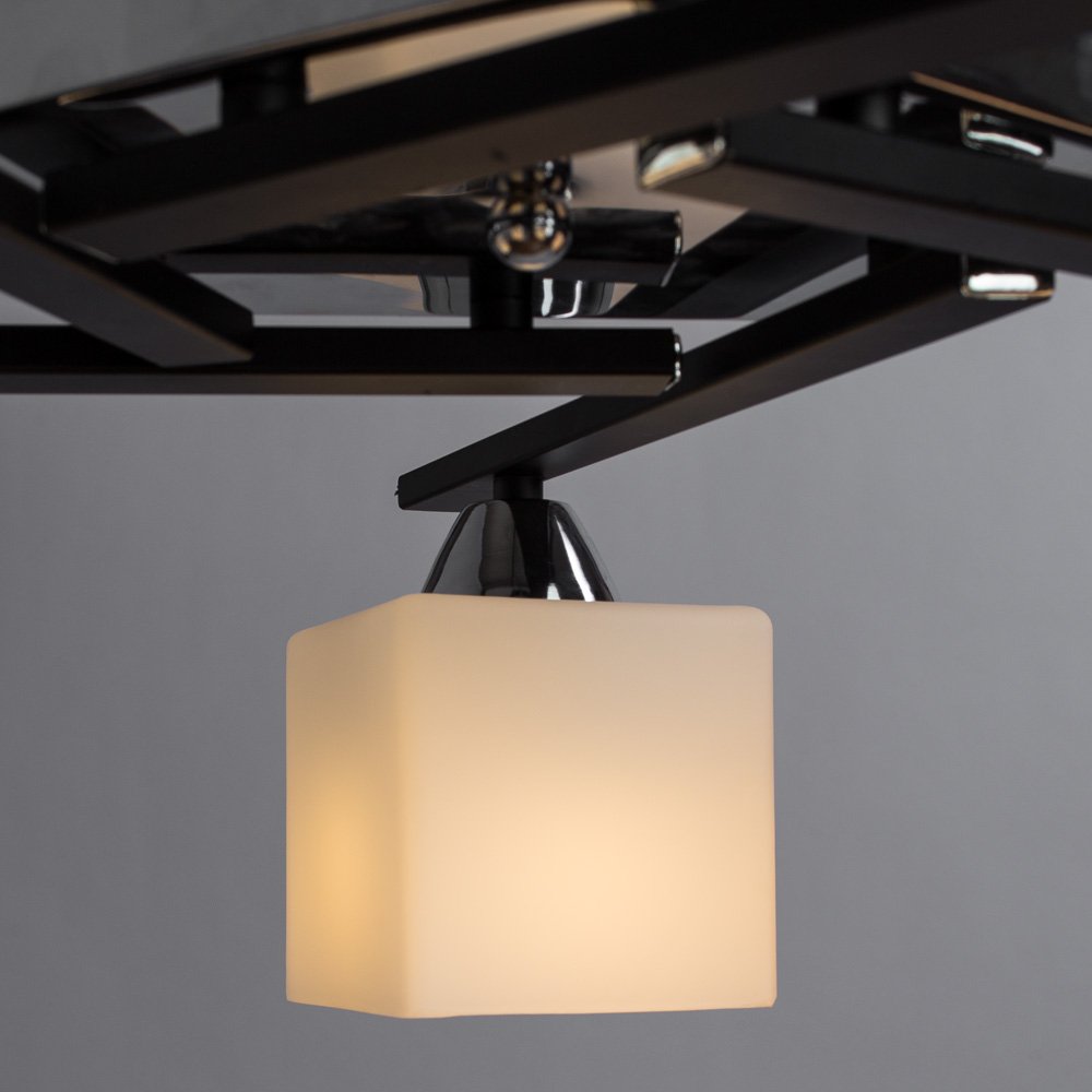 A8165PL-5BK Потолочная люстра Arte Lamp Visuale A8165PL-5BK