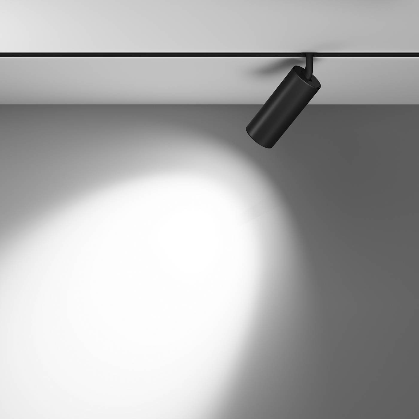 Трековый светильник Maytoni Focus LED TR032-4-20WTW-M-DSZ-B