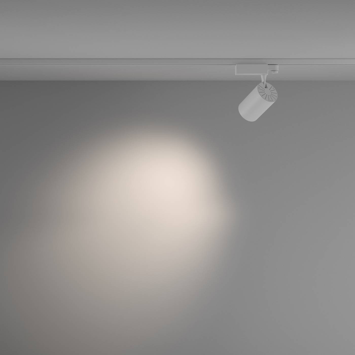 Трековый светильник Maytoni Vuoro Trinity TR029-3-26W4K-M-W