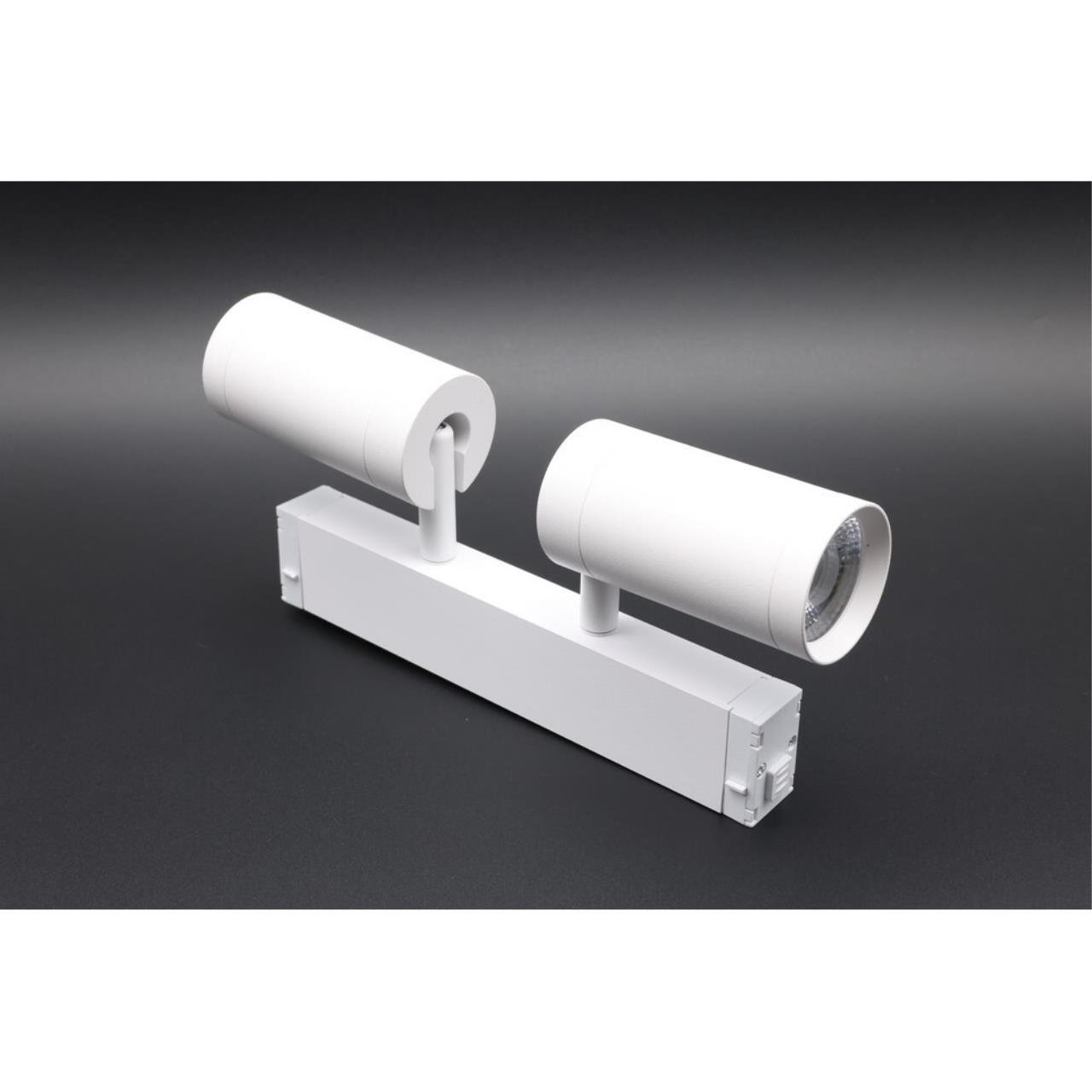 APL.0204.10.18 Трековый светильник Magnetic track 220 Aployt APL.0204.10.18