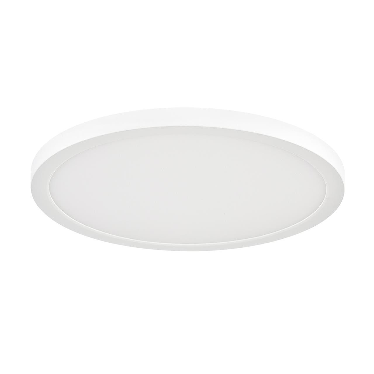 7790/24L Светильник потолочный Sonex Nebula White 7790/24L