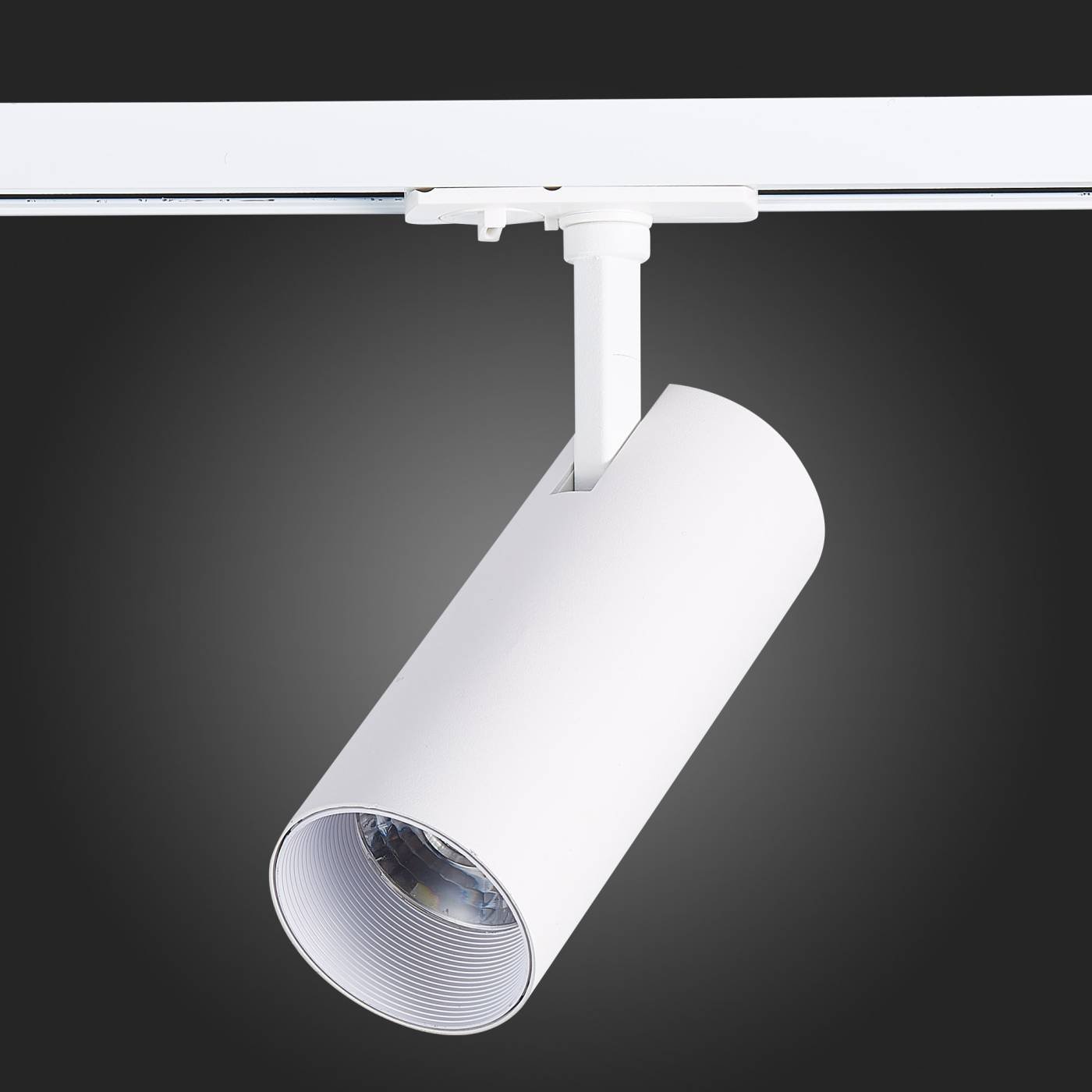 ST350.536.20.36 Трековый светильник ST Luce Mono ST350.536.20.36