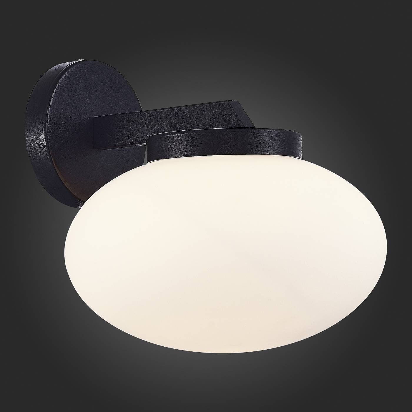 Настенное бра ST Luce Modica SL1503.401.01