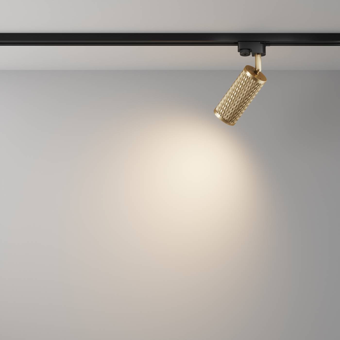 TR011-1-GU10-G Трековый светильник Maytoni Focus Design Unity TR011-1-GU10-G