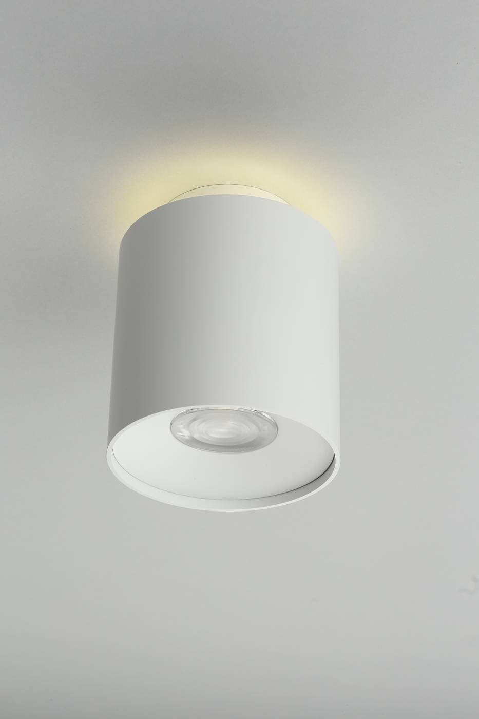 OML-100309-16 Накладной светильник Omnilux Torino OML-100309-16