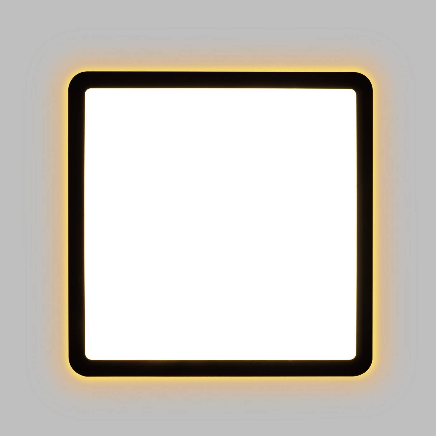 CL748K201 Светильник потолочный Citilux Norma CL748K201