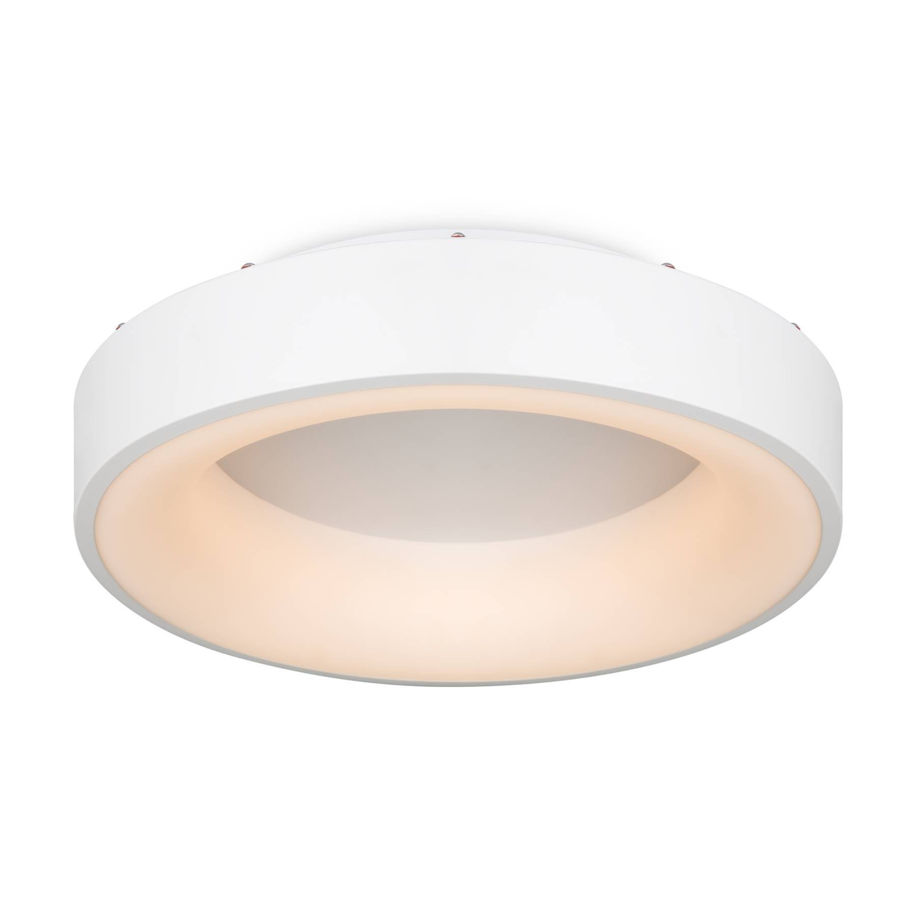 FR6118CL-L45W Потолочный светильник Люмикс / Lumix Freya FR6118CL-L45W