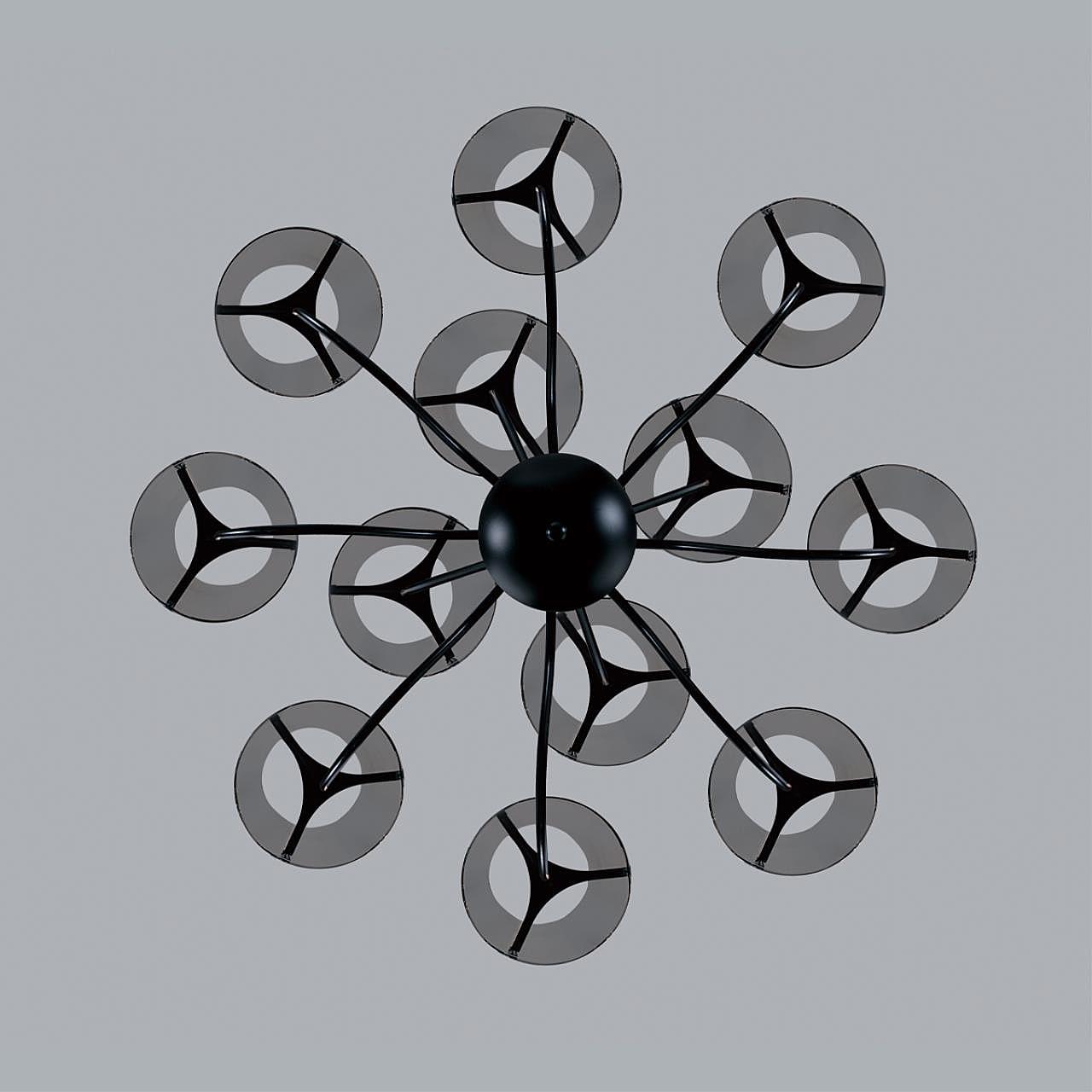 Потолочная люстра Lumion Smoky 6570/12C