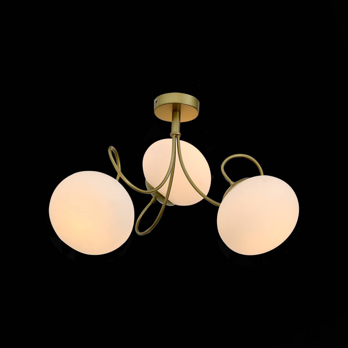 SL717.202.03 Потолочная люстра ST Luce Acini SL717.202.03