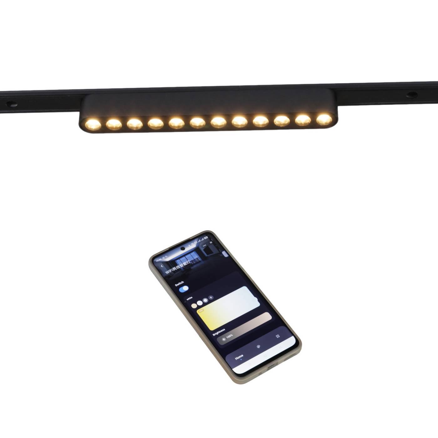 Трековый светильник Reluce 13002-9.3-001UR magnetic LED12W BK CCT+SMART