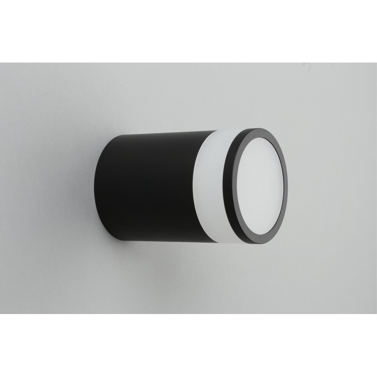 OML-101519-12 Накладной светильник Omnilux Orolli OML-101519-12