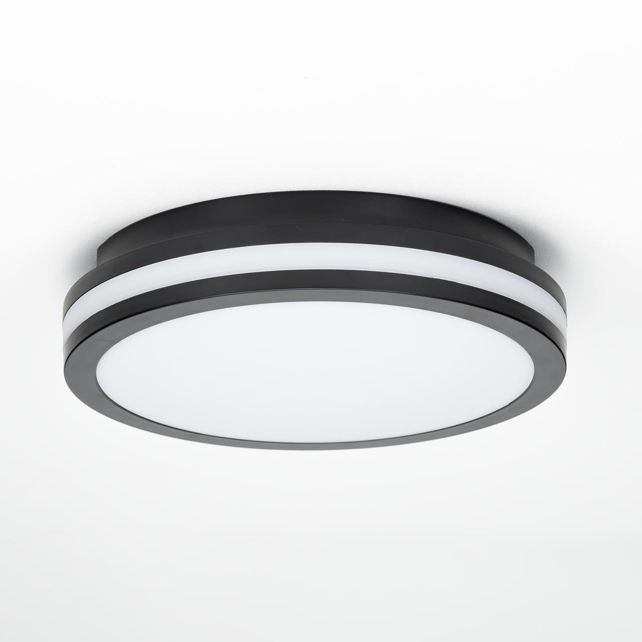 CL711011V Светильник потолочный Citilux Luns CL711011V