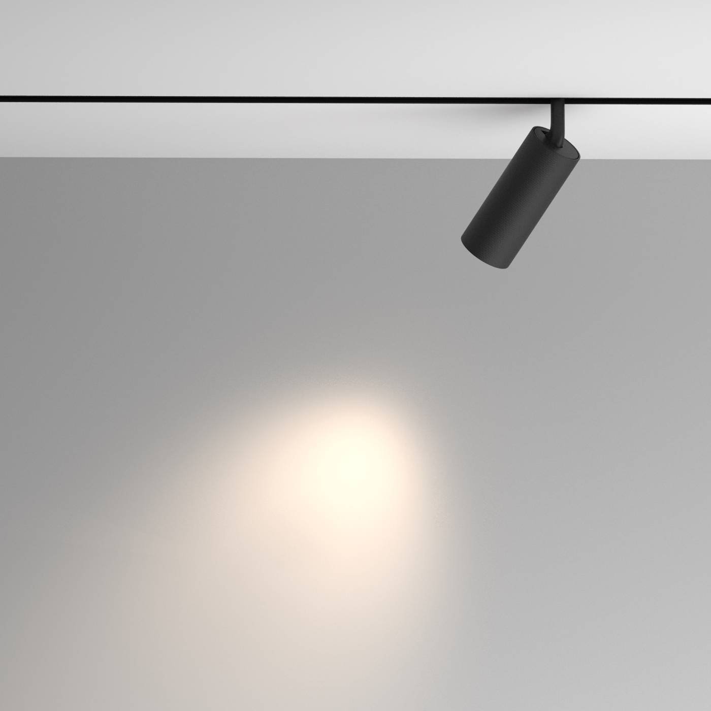 TR097-2-12W4K-M-BB Трековый светильник Maytoni Artisan Exility TR097-2-12W4K-M-BB