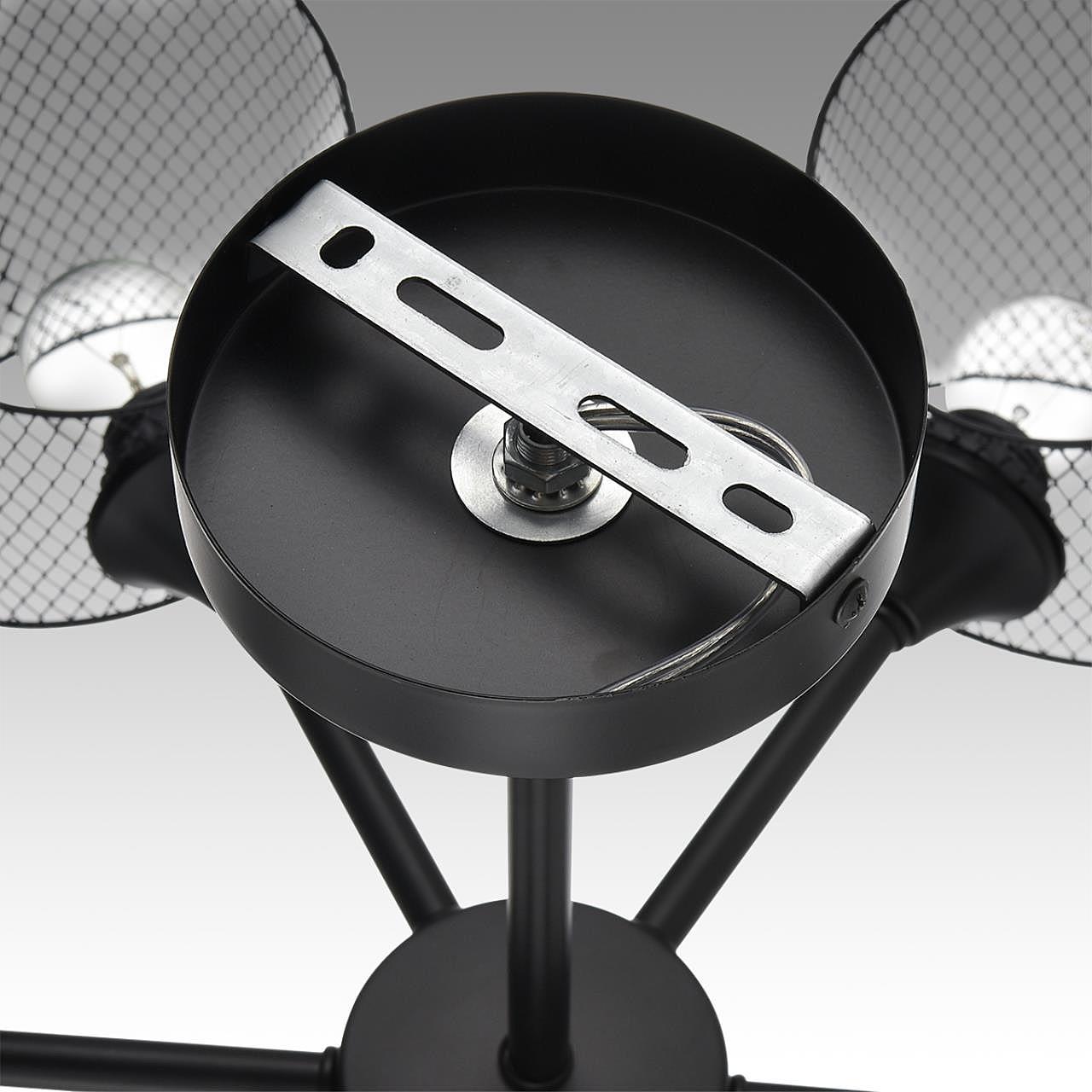 Потолочная люстра Lumion Tidina 8238/6C