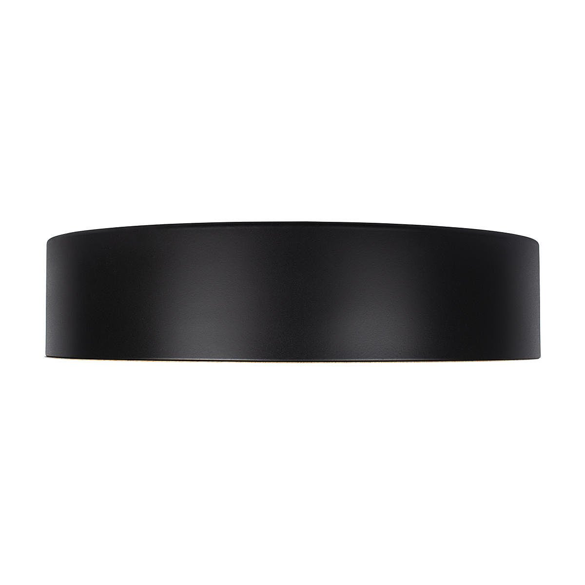 Светильник потолочный Loft It Coin 10202 Black