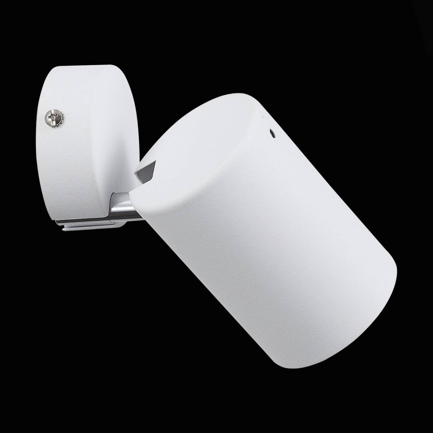 SL597.501.01 Светильник спот ST Luce Fanale SL597.501.01