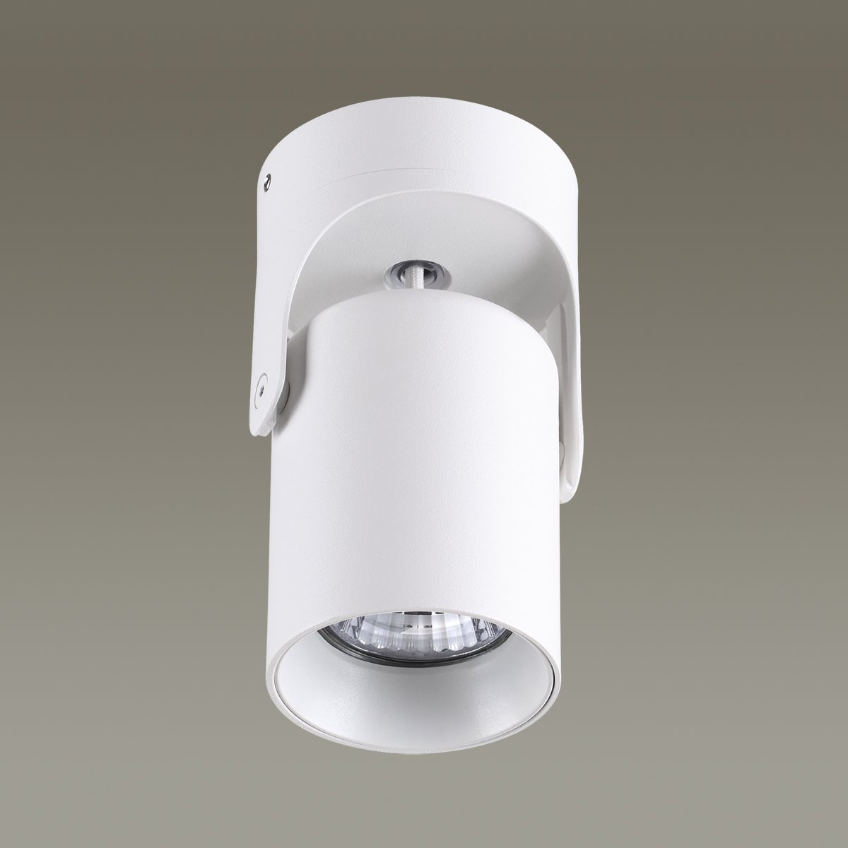 Светильник спот Odeon Light Corsus 3854/1C