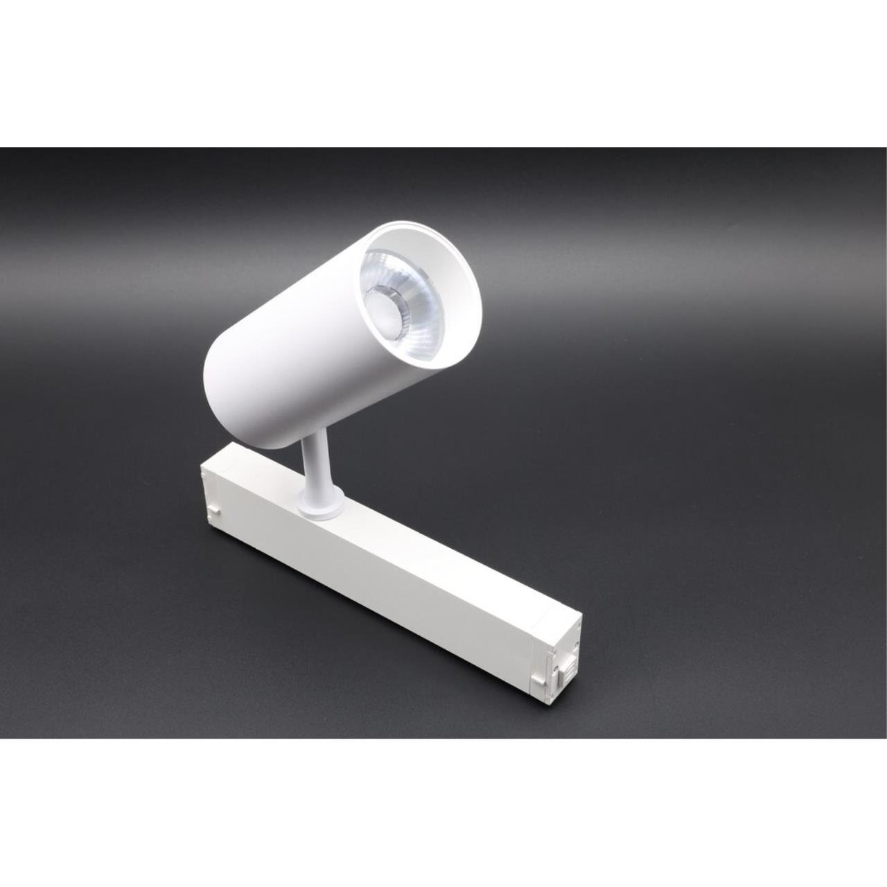 APL.0205.10.20 Трековый светильник Magnetic track 220 Aployt APL.0205.10.20