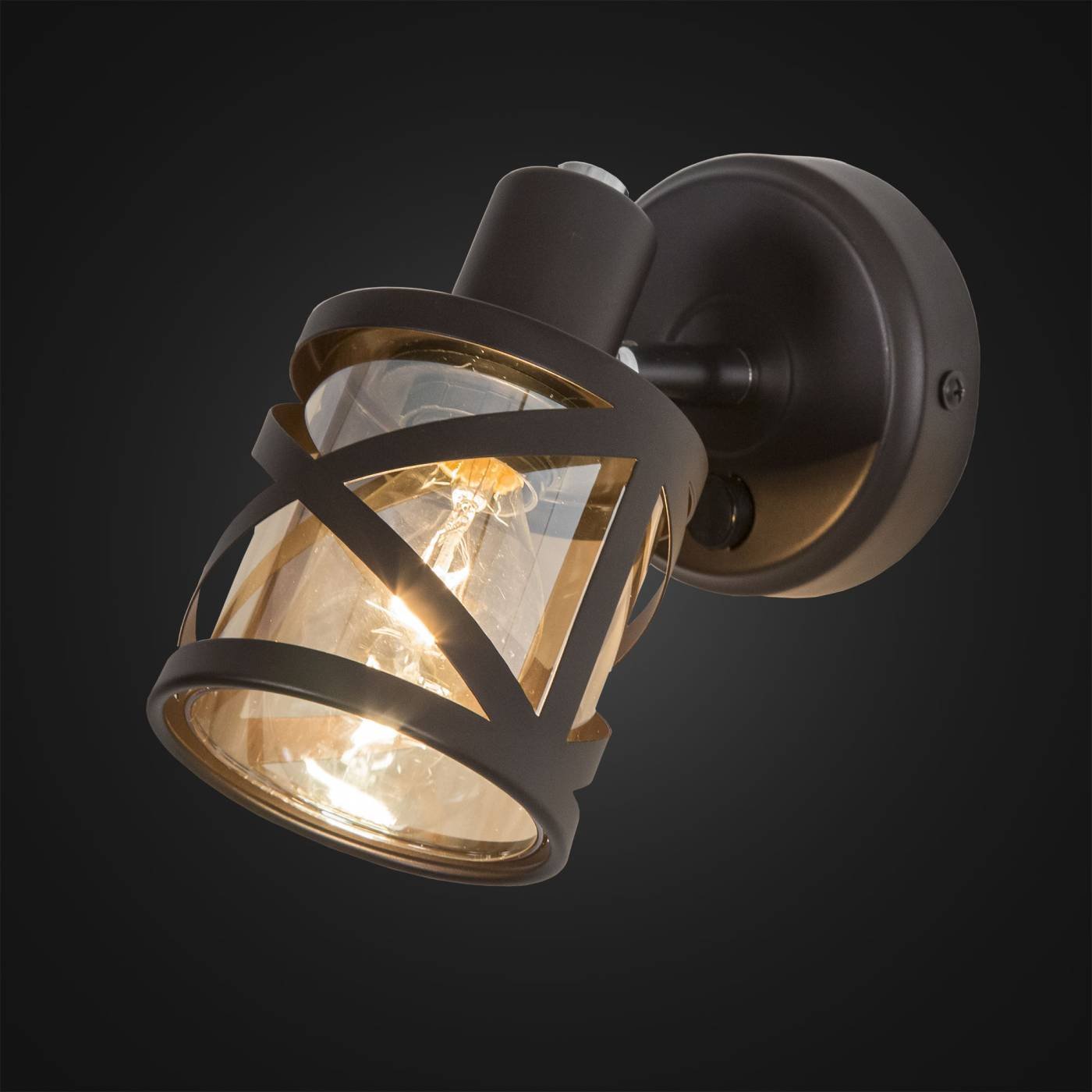 CL536615 Светильник спот Citilux Гессен CL536615