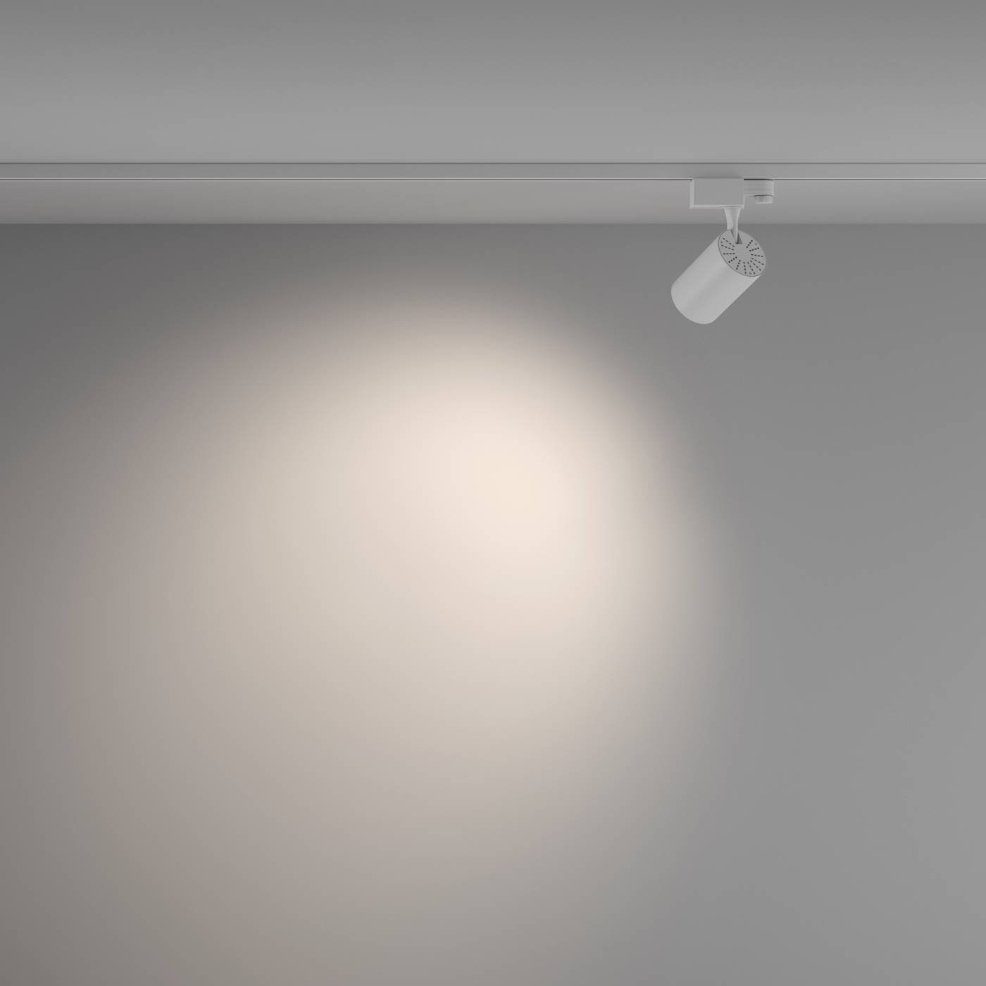 TR029-3-10W4K-W-W Трековый светильник Maytoni Vuoro Trinity TR029-3-10W4K-W-W