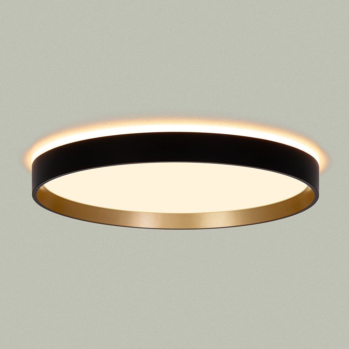 Светильник потолочный Citilux Etalon CL750321R