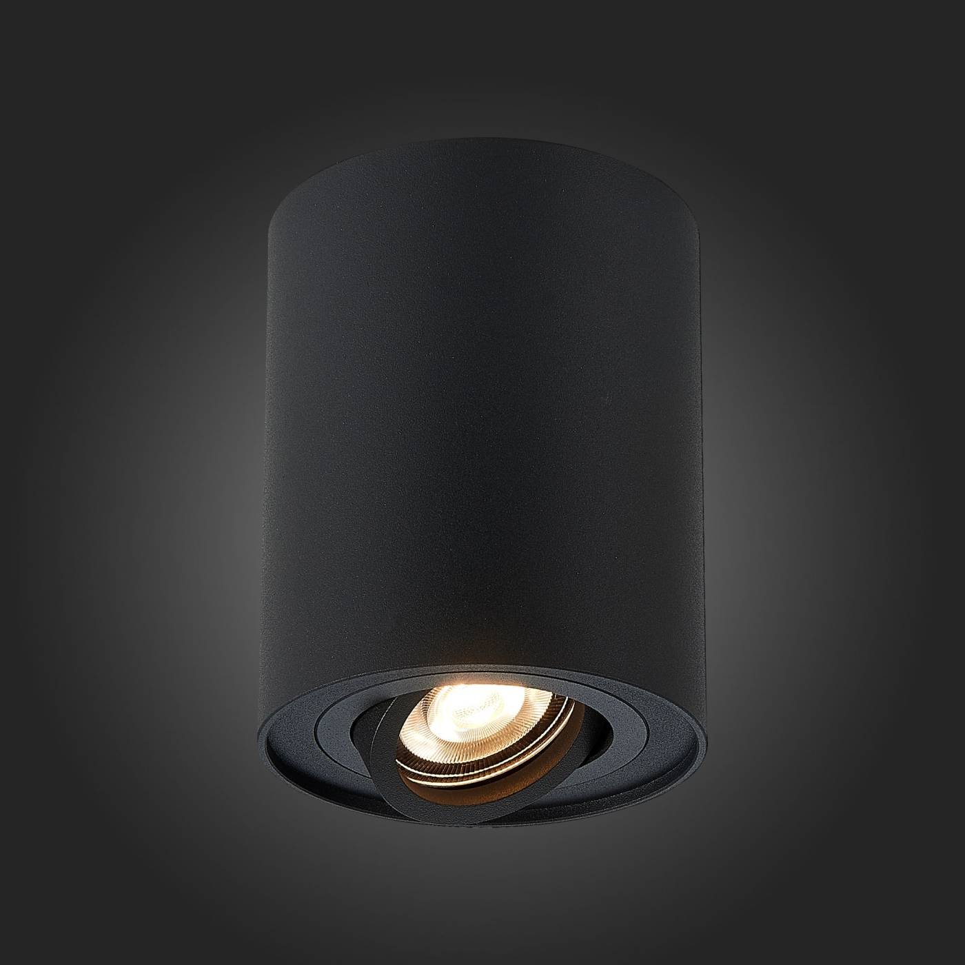 ST108.417.01 Накладной светильник ST Luce Torus ST108.417.01