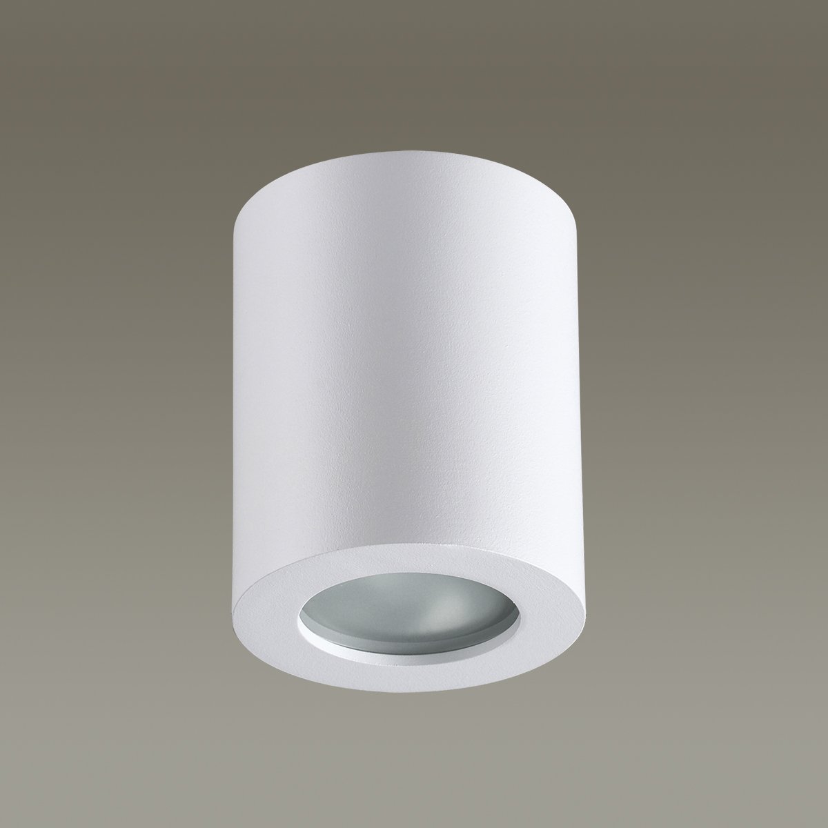 Накладной светильник Odeon Light Aquana 3571/1C