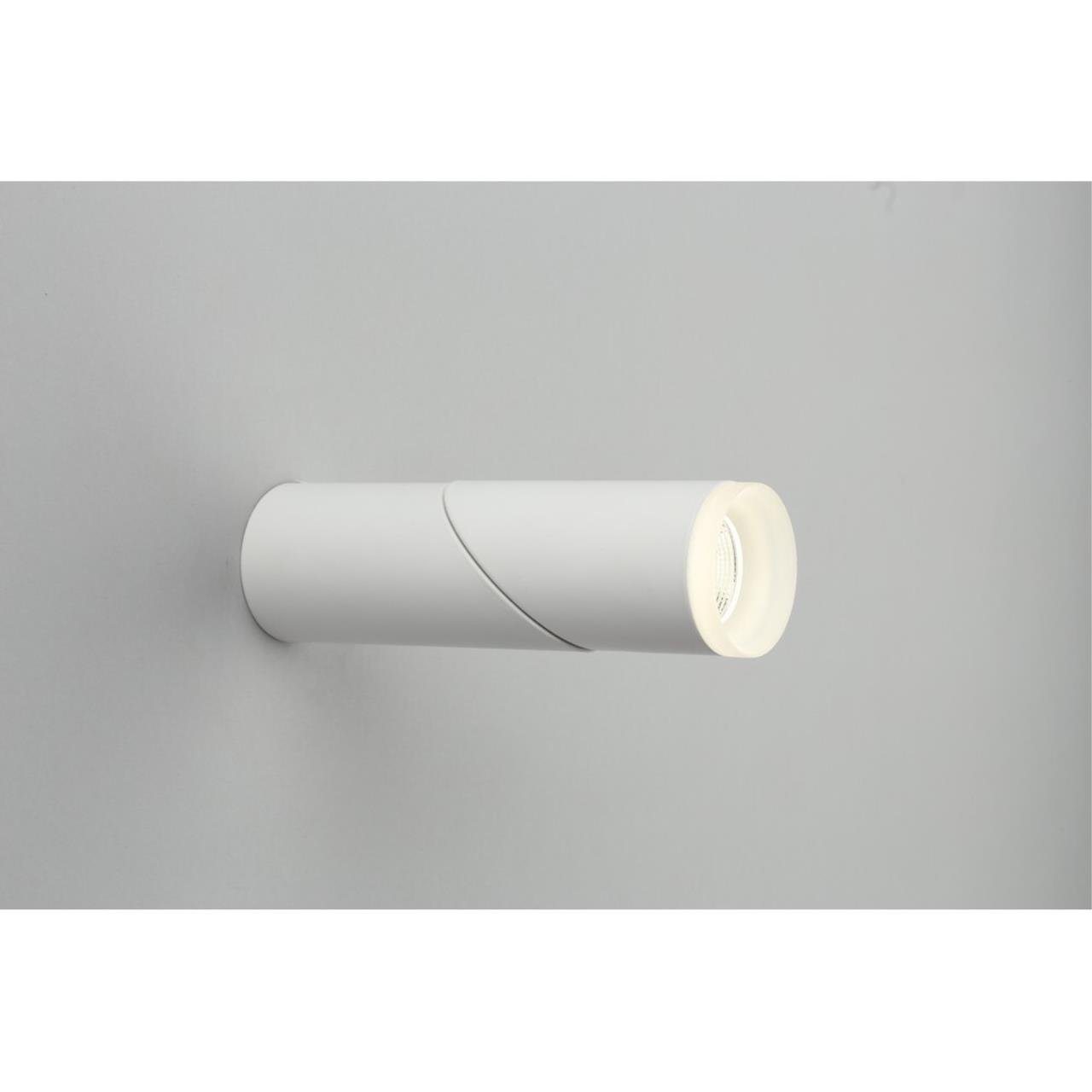 OML-100209-10 Накладной светильник Omnilux Ultimo OML-100209-10