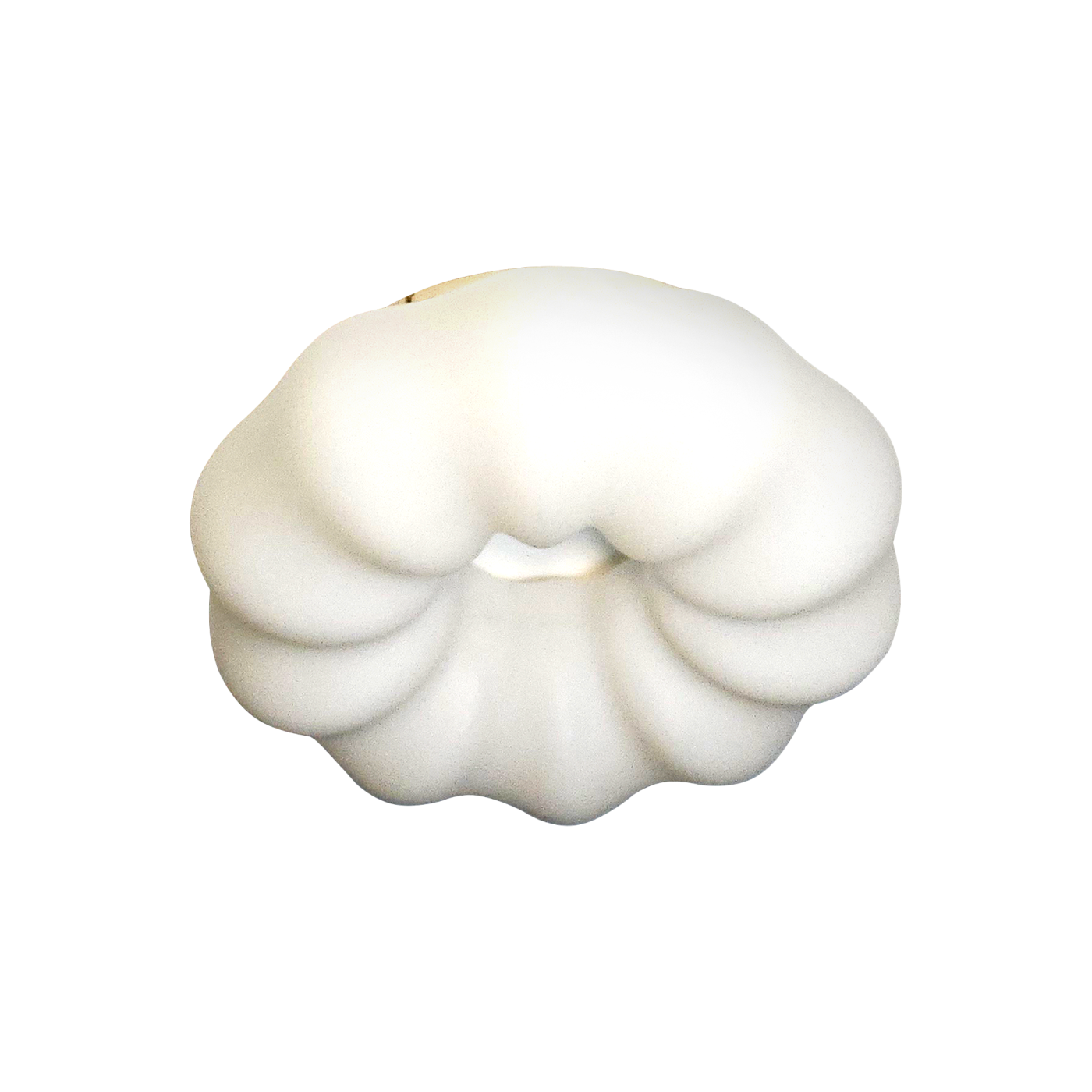 Светильник потолочный Zortes Soft ZRS.1118.2