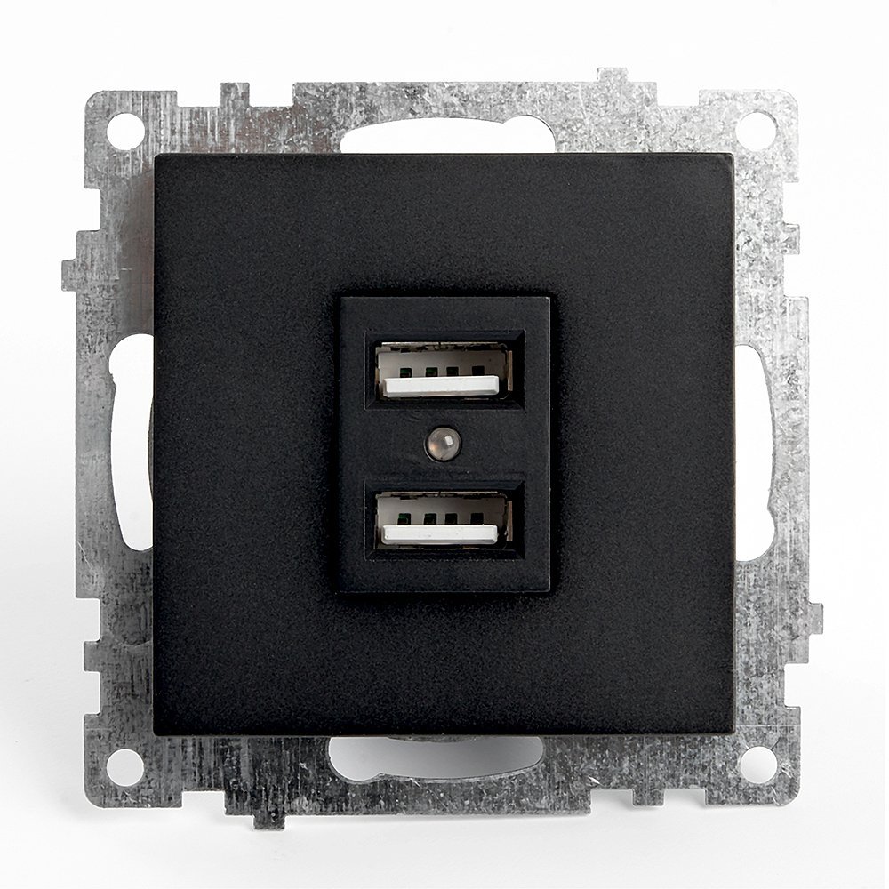 39616 Розетка USB 2-местная (механизм) Stekker Катрин 39616