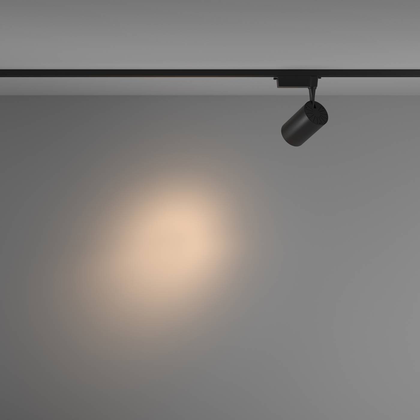 Трековый светильник Maytoni Vuoro TR003-1-26W3K-S-B