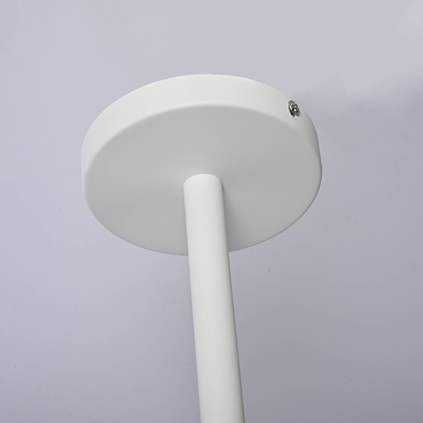 101826-26 Потолочная люстра ImperiumLoft Naturaaw01 101826-26