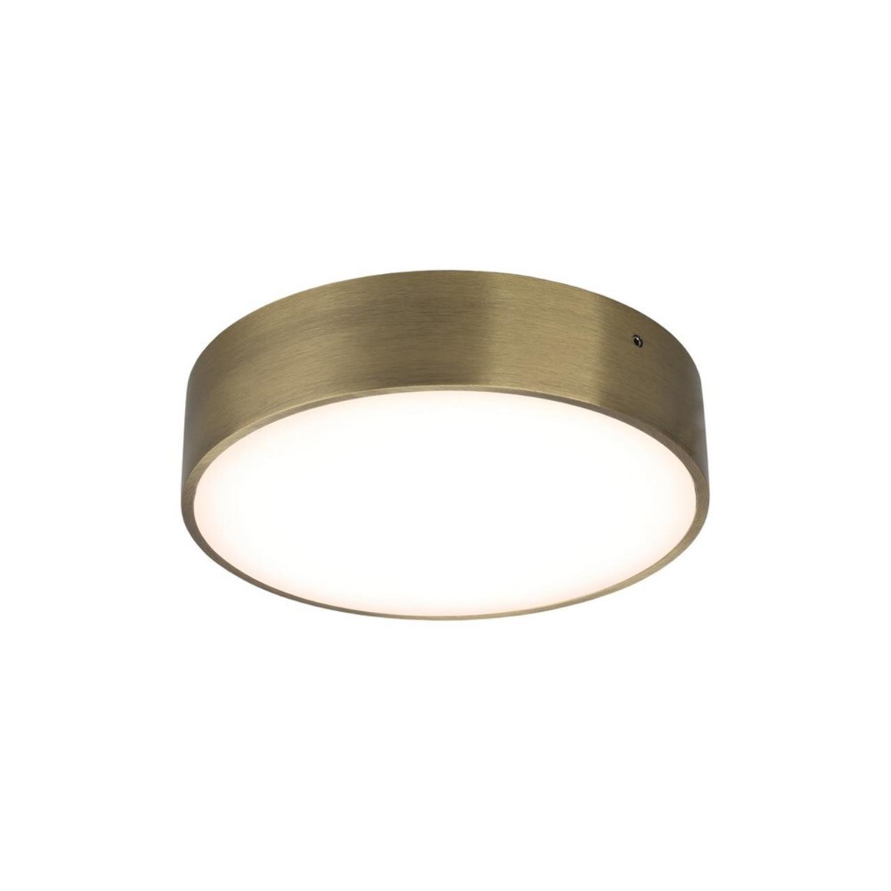 APL.0114.29.18 Светильник потолочный Aployt Evon APL.0114.29.18