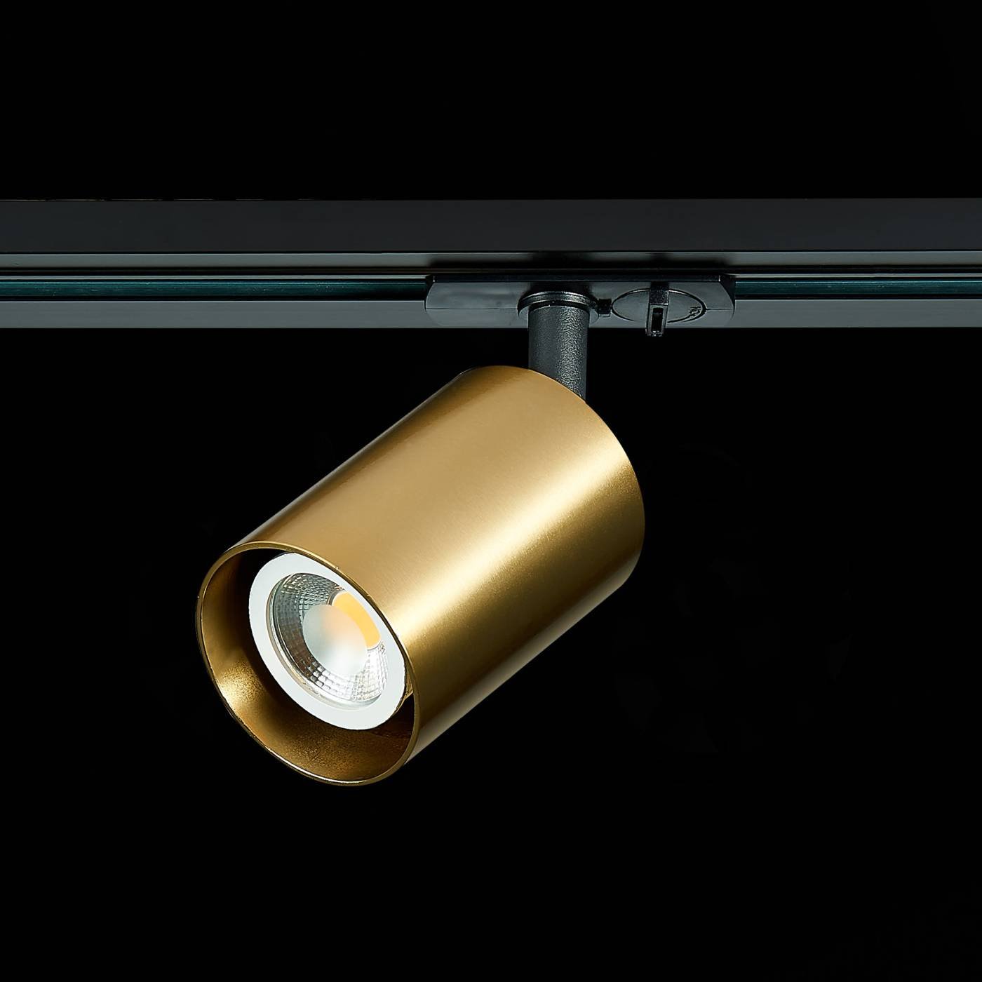 ST302.206.01 Трековый светильник ST Luce ST302 ST302.206.01