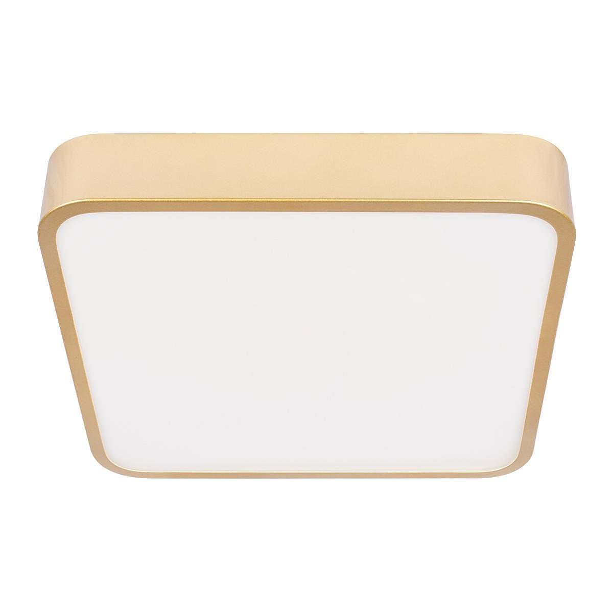 Светильник потолочный Loft It Flims 10228/C