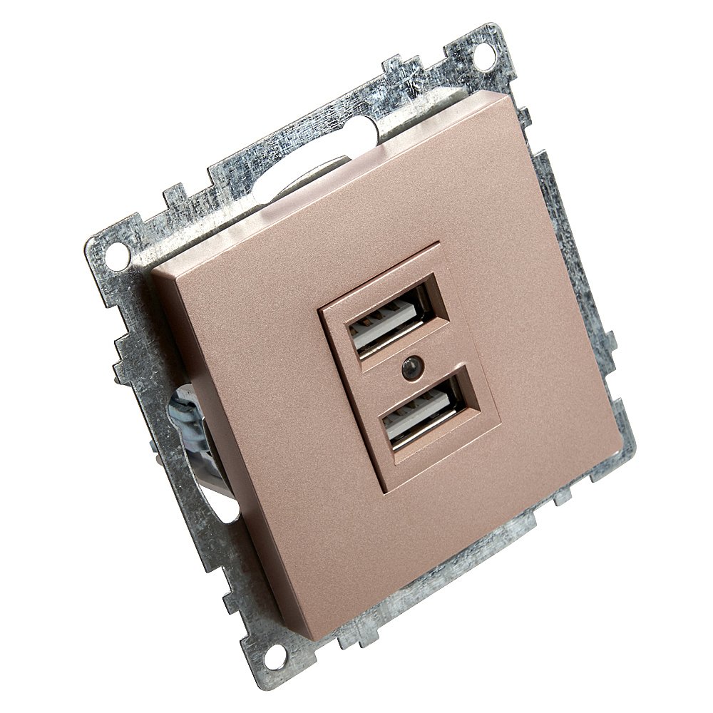 39602 Розетка USB 2-местная Stekker Катрин 39602