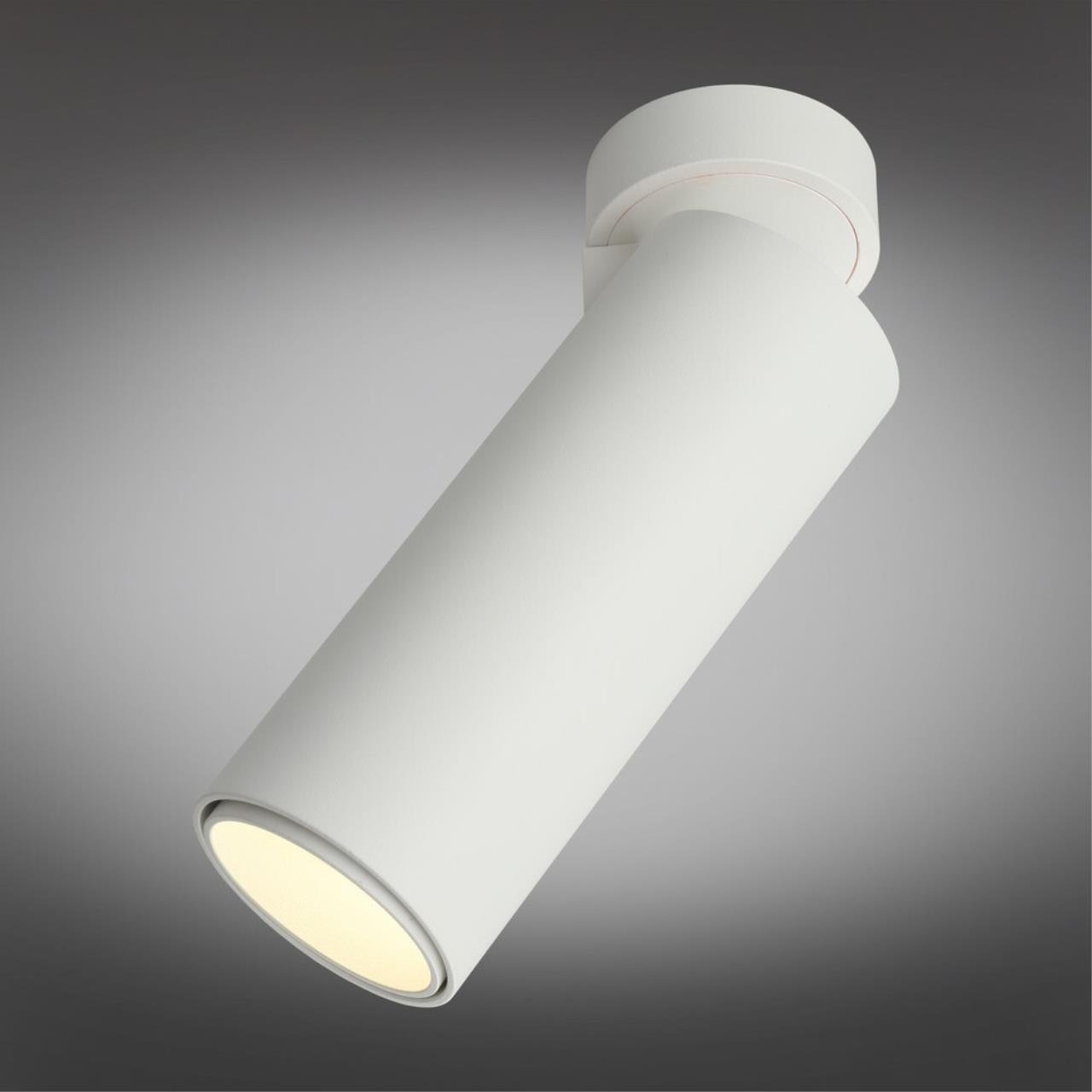 OML-101409-12 Накладной светильник Omnilux Montella OML-101409-12