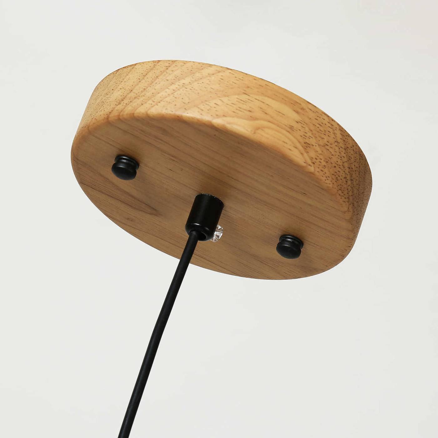 Светильник подвесной Favourite Pendenti 2015-1P