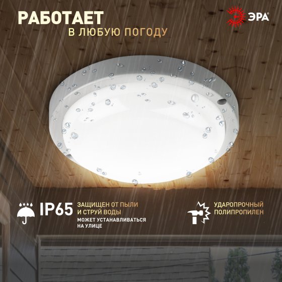 Уличный потолочный светильник ЭРА SPB-2 SPB-201-0-40K-012