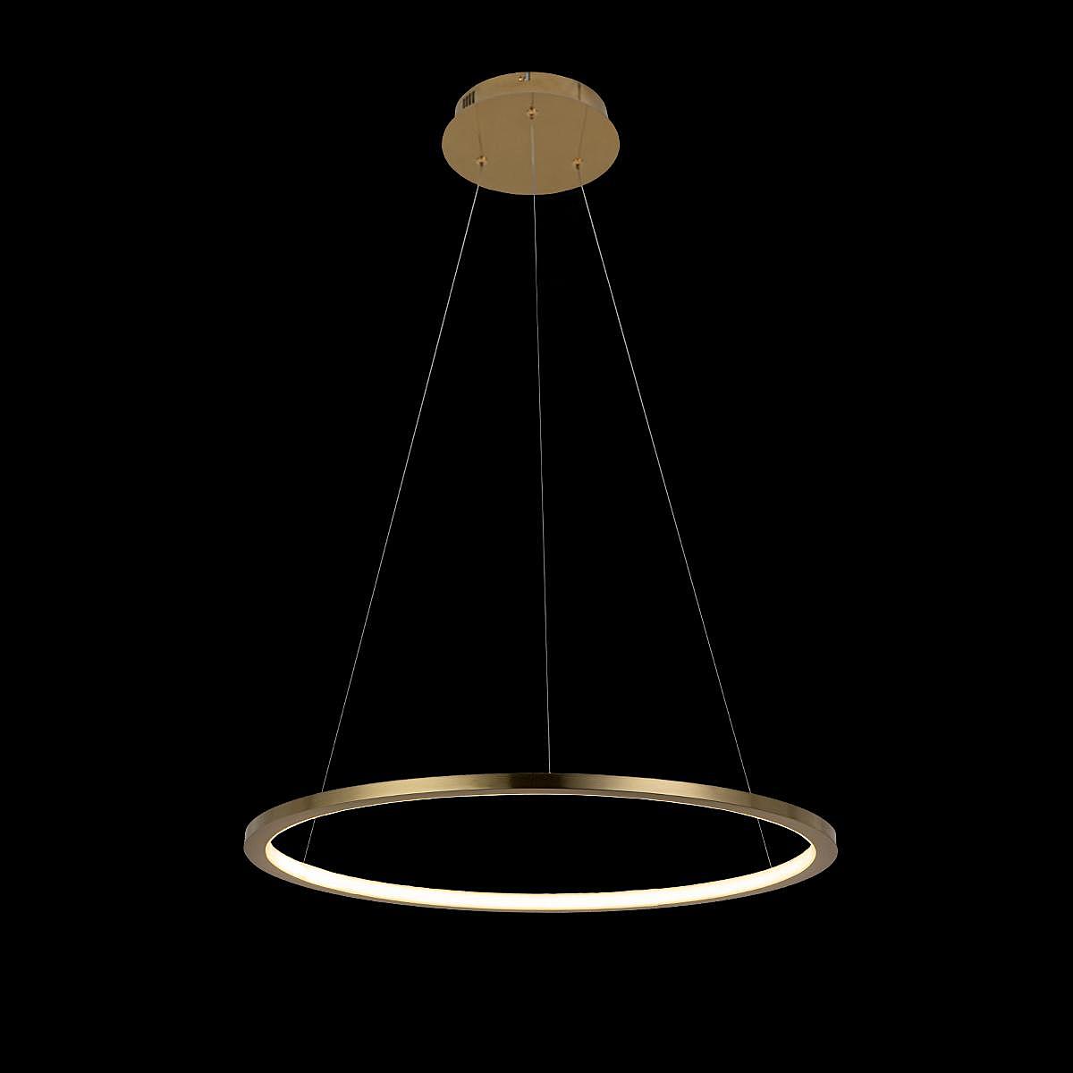 10014M Светильник подвесной Loft It Ring 10014M