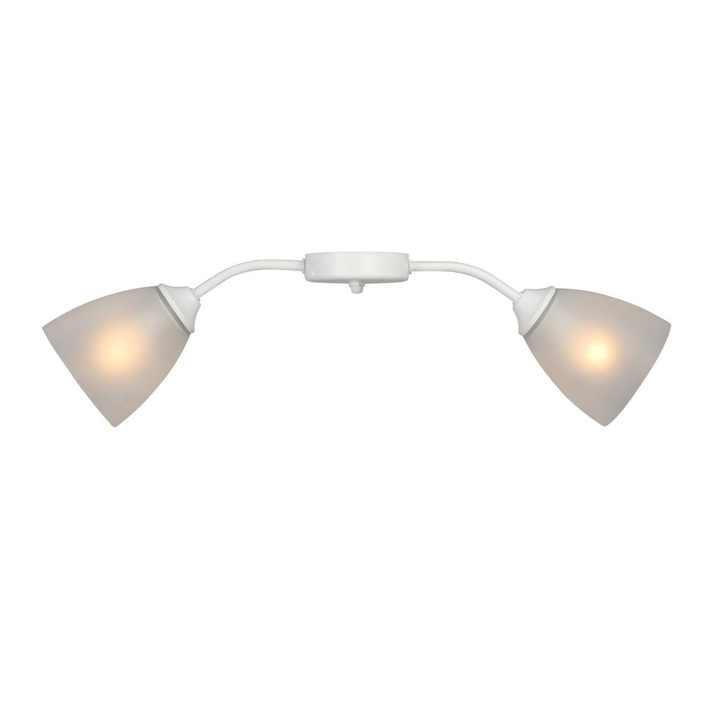 Потолочная люстра Vitaluce V3750/2PL