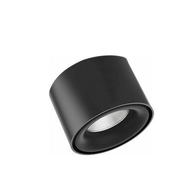 ILEDEX TECHNICAL VISION48/25 4825-049-D74-10W-60DG-4000K-BK