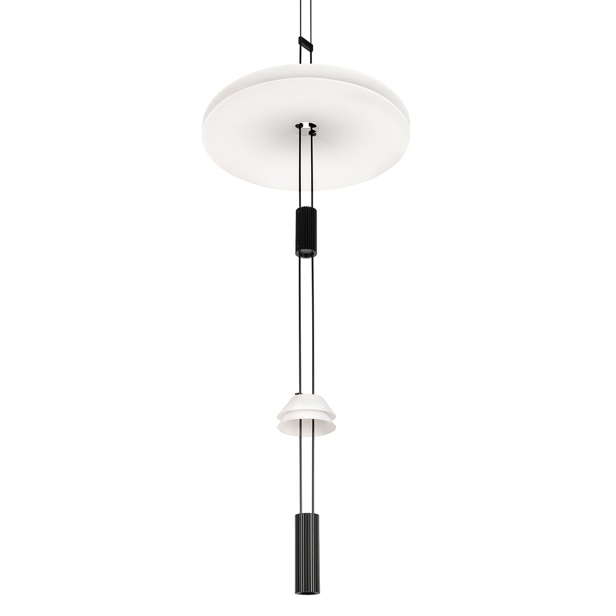 10598C Подвесной светильник Flamingo Loft It 10598C