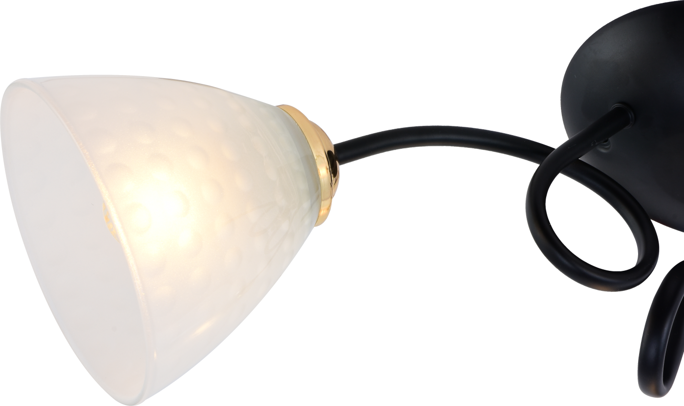 Потолочная люстра Rivoli Luiza 9140-303